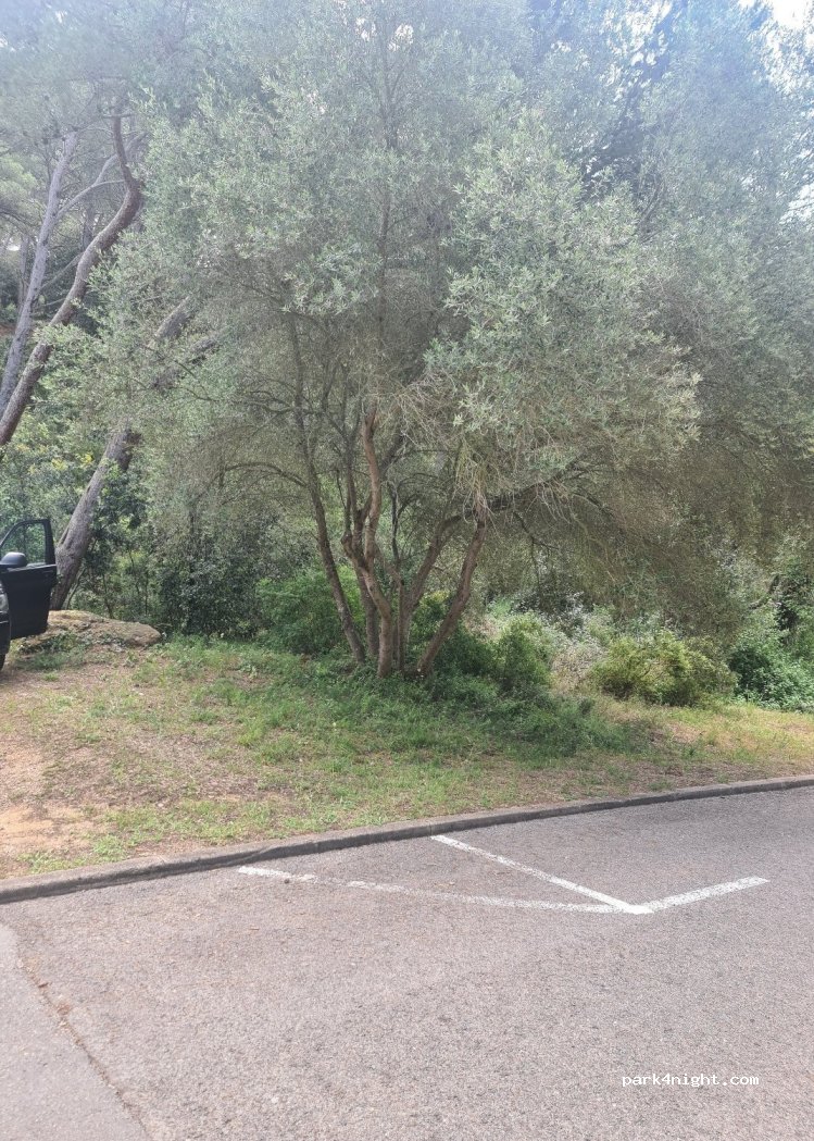 (17212) Llafranc - 20 Carrer del Paraguai — foto 2