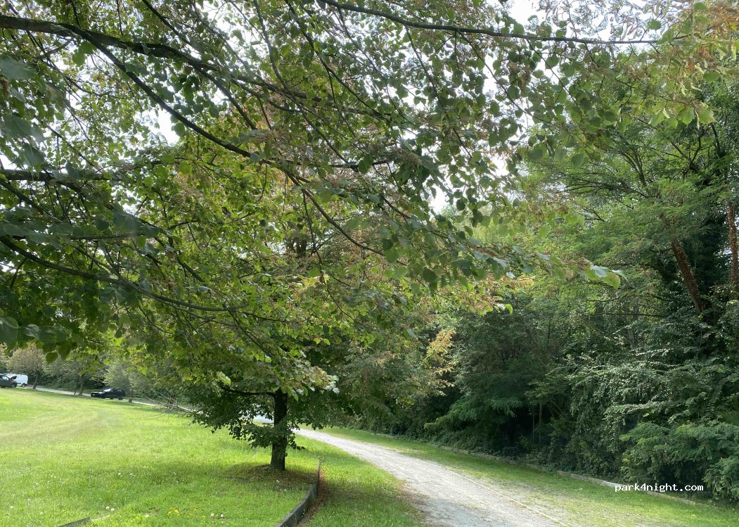 (21018) Sesto Calende - 36 Via Ferriera — foto 5