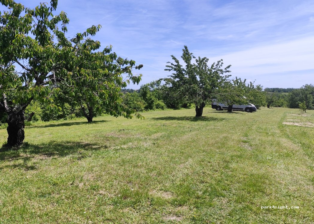 (82200) Moissac - 2212 Voie Communale de Lacapelette — foto 4