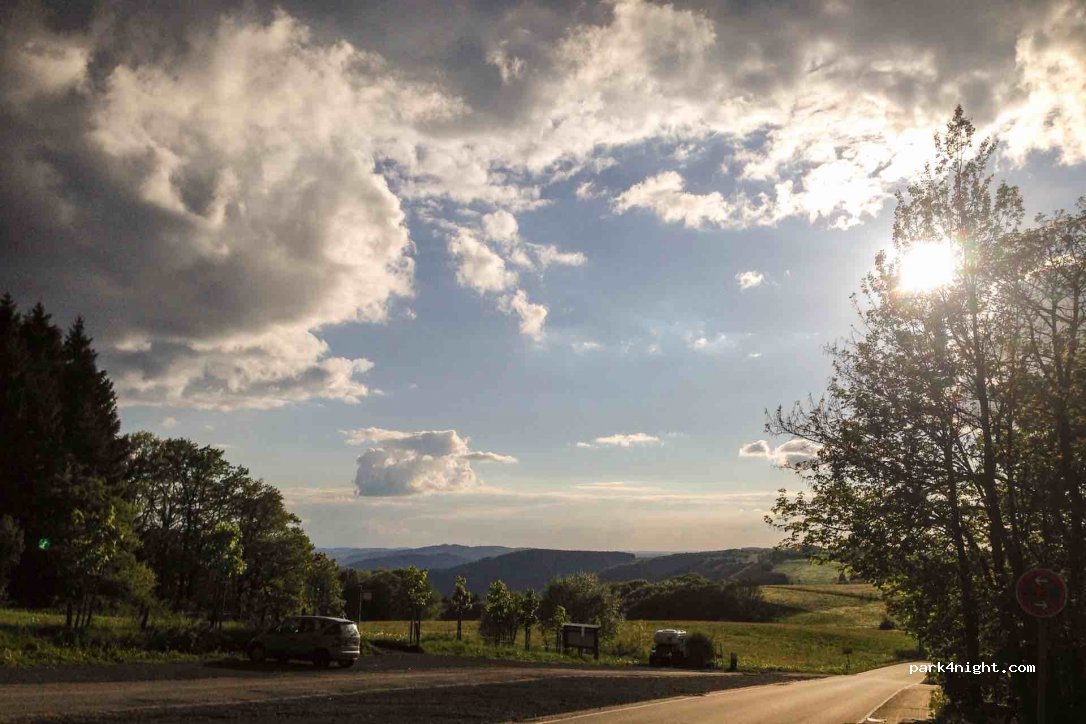 (59846) Sundern (Sauerland) - 15 Wildewiese — foto
