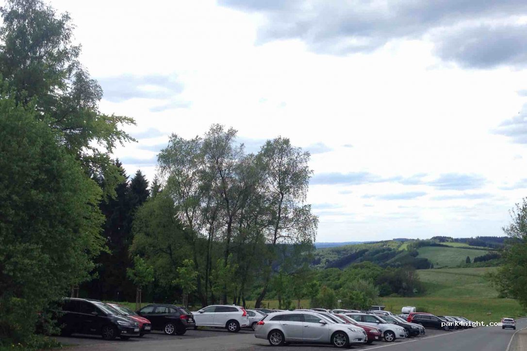 (59846) Sundern (Sauerland) - 15 Wildewiese — foto 3