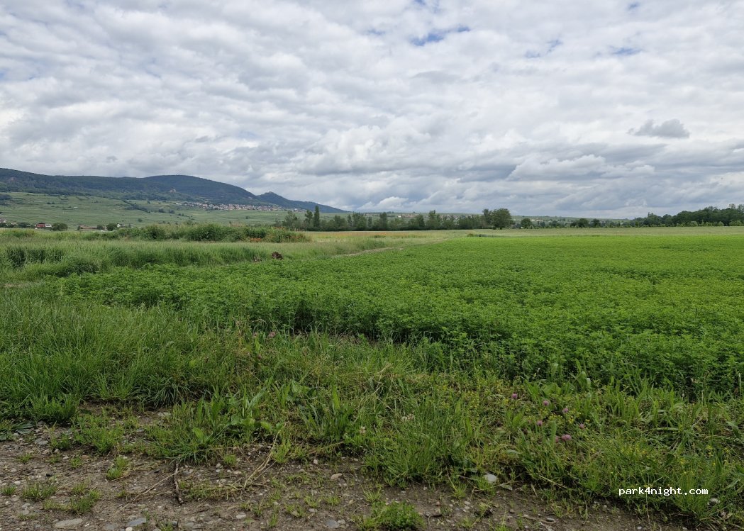 (68250) Pfaffenheim - Unnamed road — foto 2