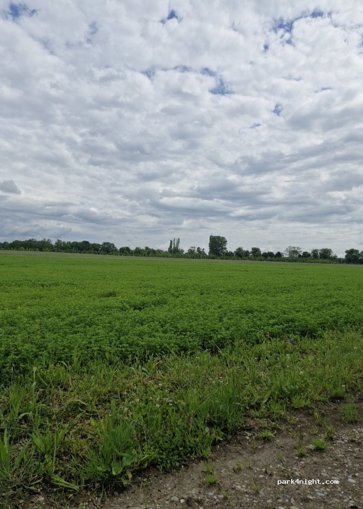 (68250) Pfaffenheim - Unnamed road — foto 3