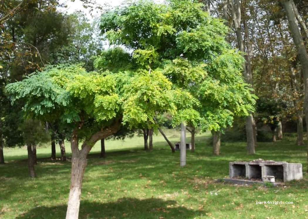(84025) Eboli - 1 via San DONATO — foto