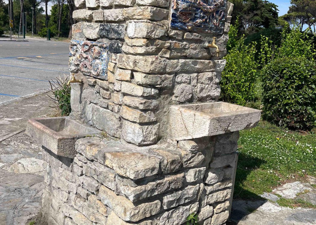 (56128) Tirrenia - Via dei Fiori — foto
