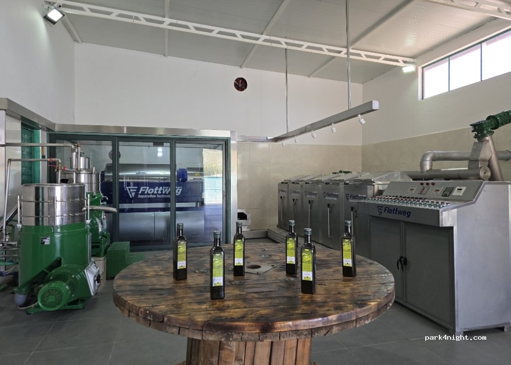 OLIVE OIL MILL Vëllezërit Goxha — foto 2