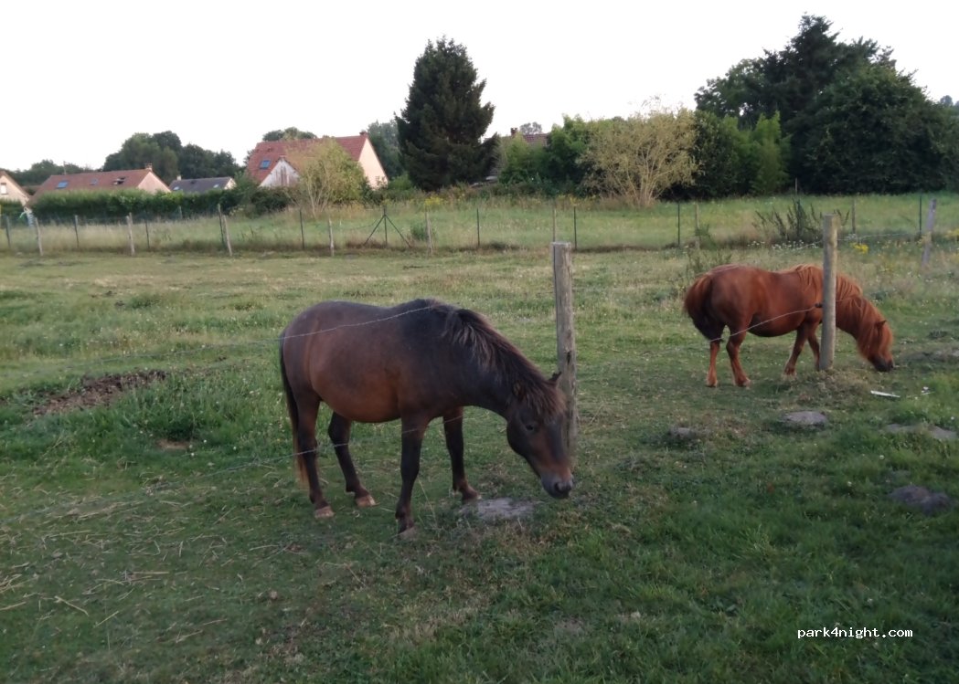 Le Jericho'locaux — foto 3