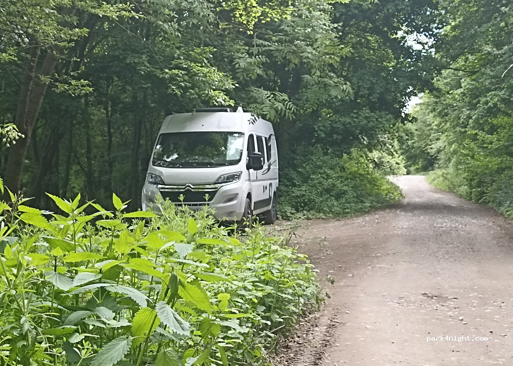 (919 03) Horné Orešany - Unnamed Road — foto 2