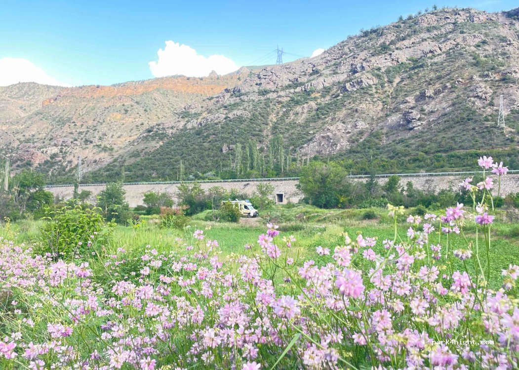 (08890) Hav Bağları - — foto