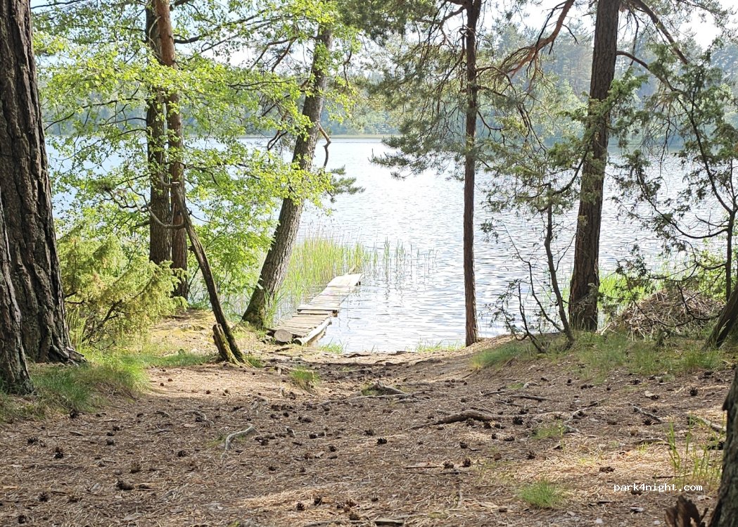 (18202) Vilkasalė - Unnamed Road — foto 2