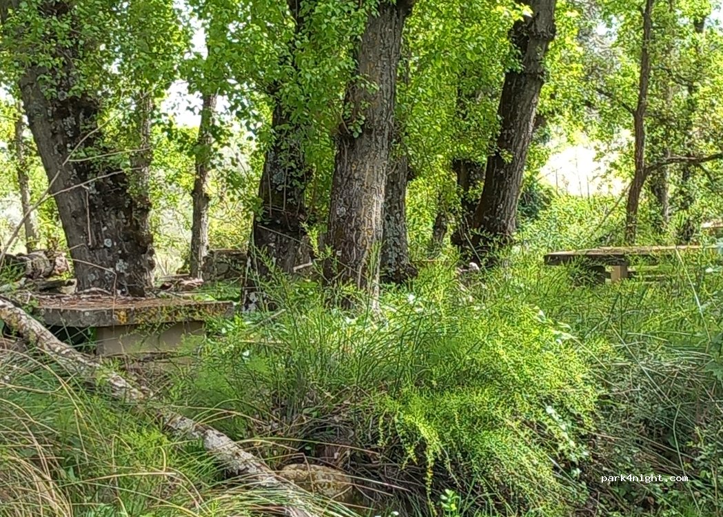 (06260) Monesterio - Unnamed Road — foto 5