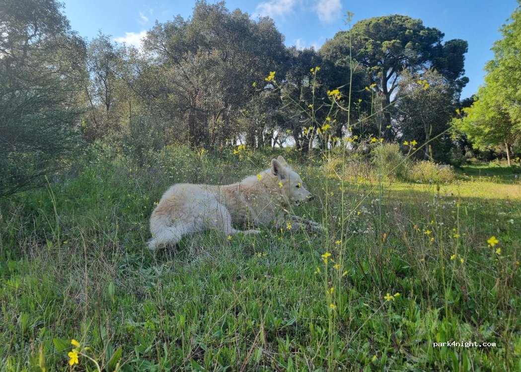 () Póvoa de Rio de Moinhos - — foto 2