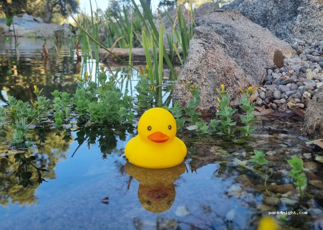 () Póvoa de Rio de Moinhos - — foto 4