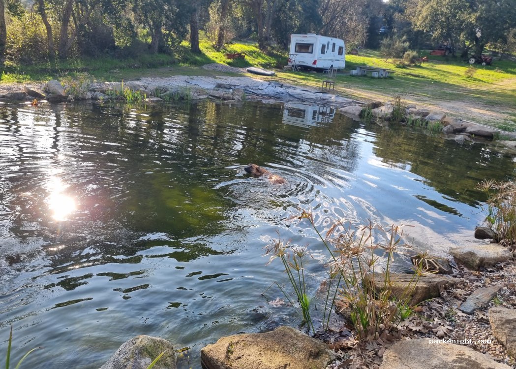 () Póvoa de Rio de Moinhos - — foto 5