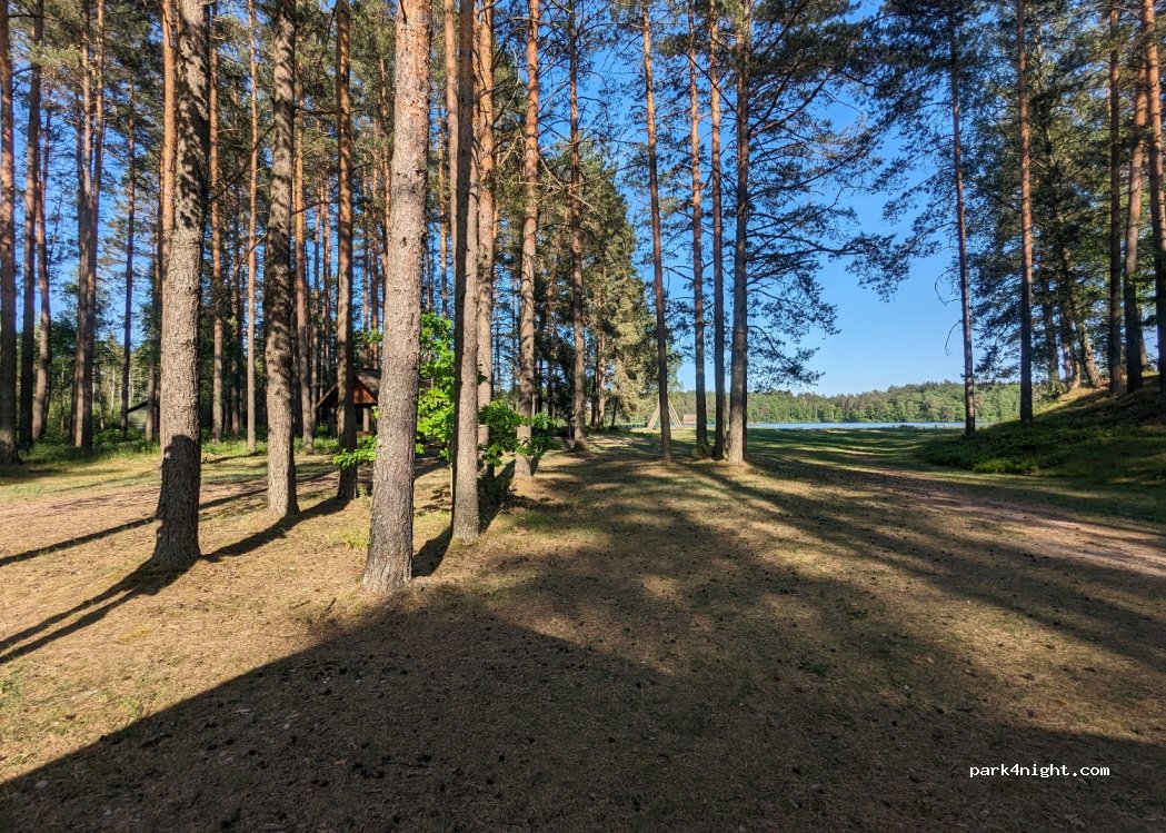 (65303) Marcinkonys - 116 Kastinio gatvė — foto