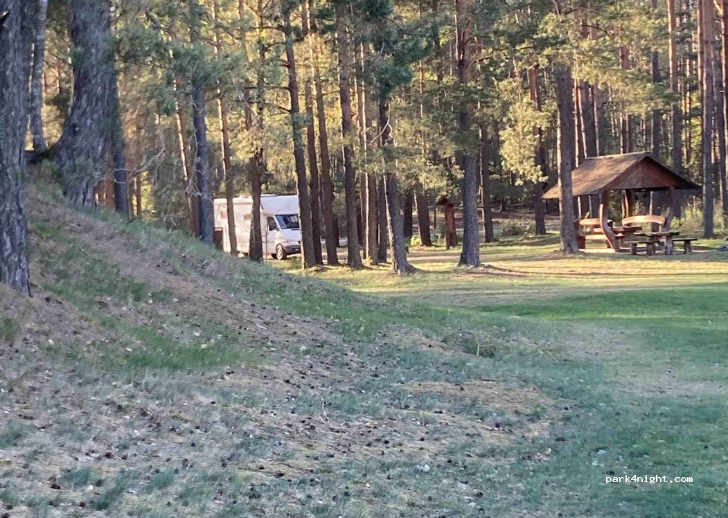 (65303) Marcinkonys - 116 Kastinio gatvė — foto 4