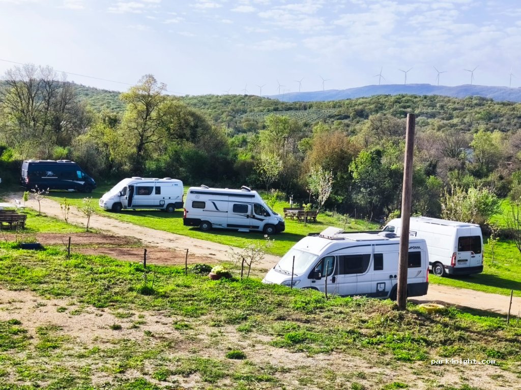 Camp Side of peace — foto 4