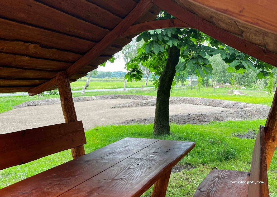 Heidelbeeren aus dem Ahlenmoor — foto 4