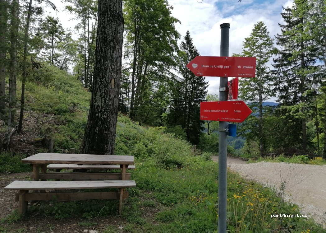 (2393) Črna na Koroškem - 17 Jazbina — foto 2