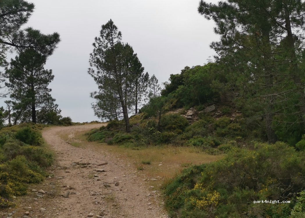 (20124) Zonza - Unnamed Road — foto