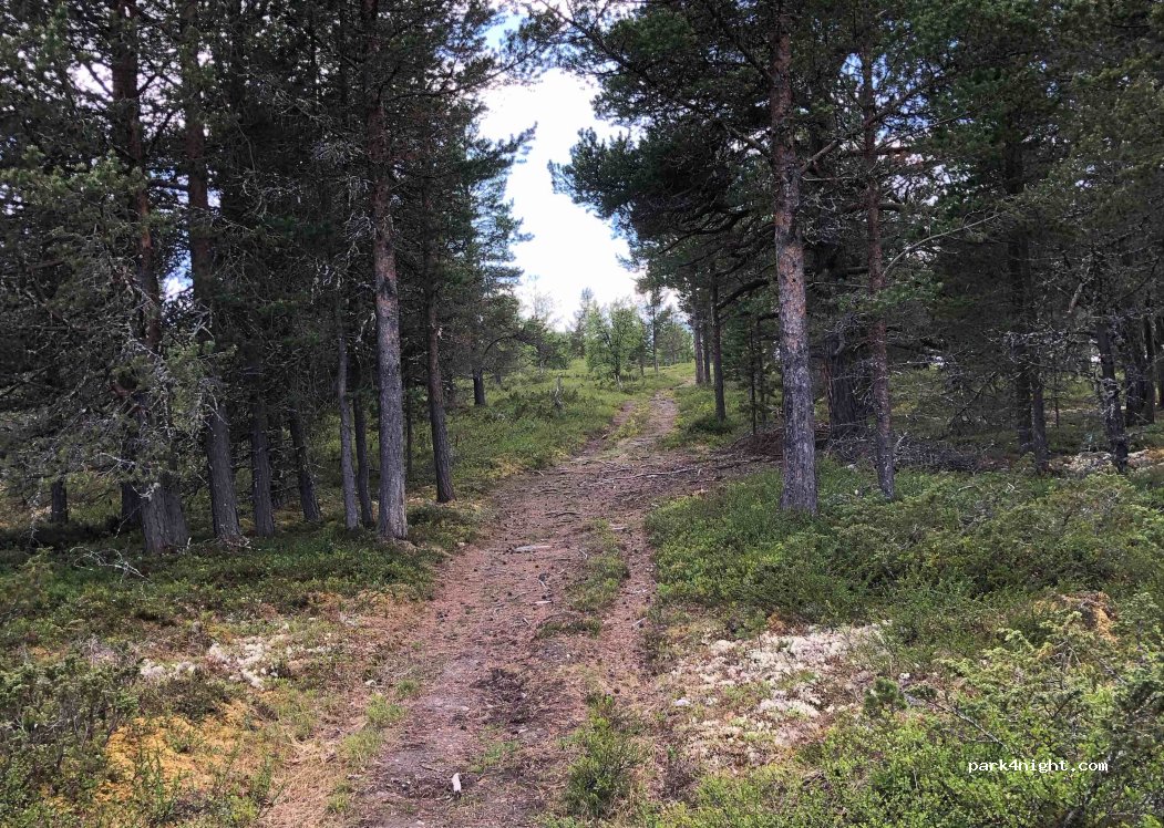 (2580) Folldal - 230 Svevegen — foto 3