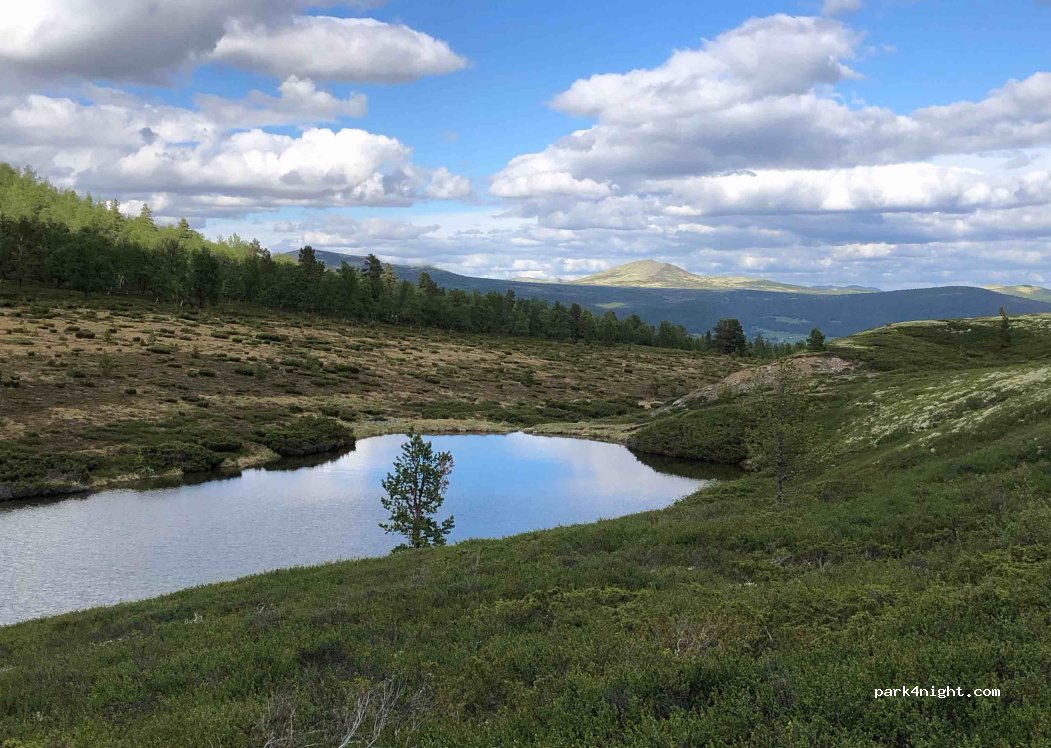 (2580) Folldal - 230 Svevegen — foto 4