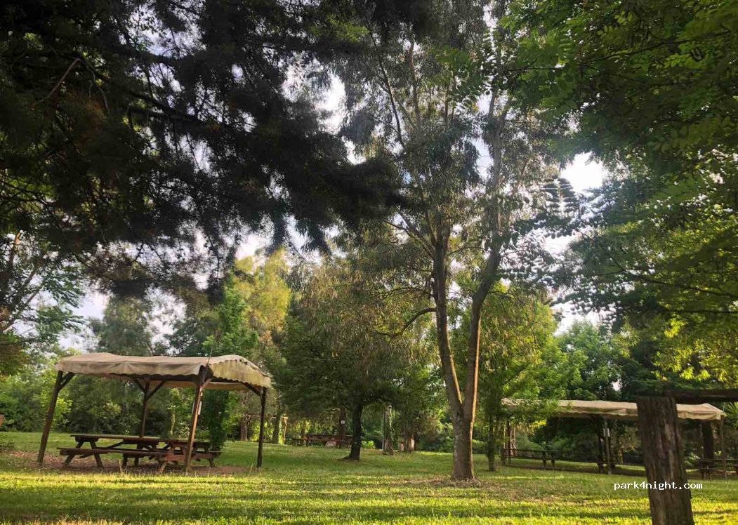 Agricampeggio Rotondola Di Elpidio Salzillo — foto 4