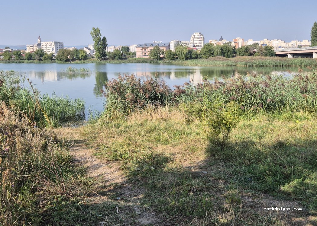 (600041) Bacău - 2 Strada Ion Luca Caragiale — foto 4