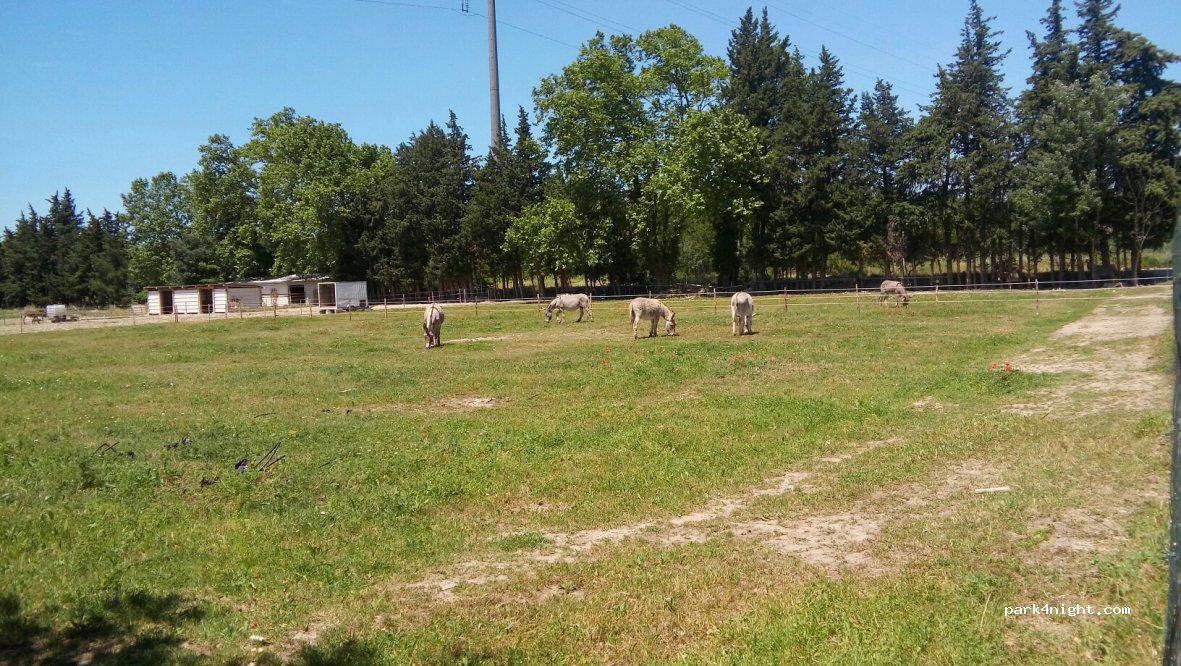 (84170) Monteux - 1100 Chemin de la Ribière — foto 2