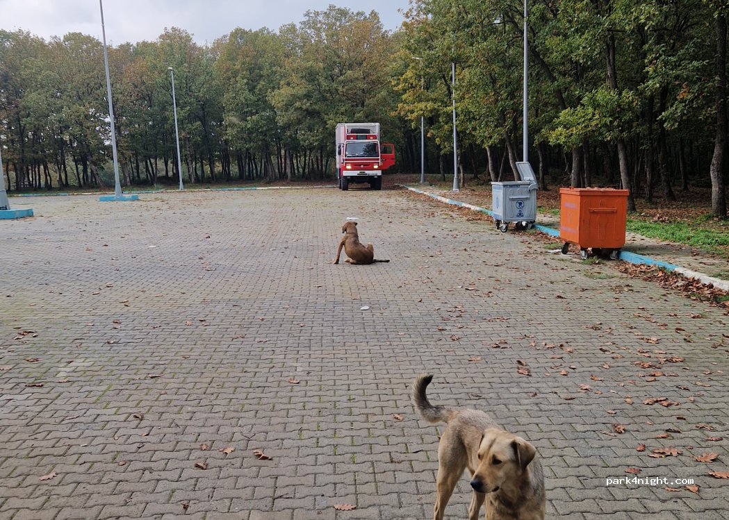 (41455) Dilovası - Kocaeli Çayırova Yolu — foto 4