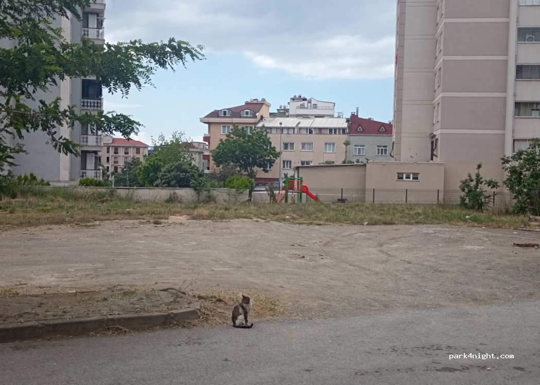 (34873) Kartal - 25 Nar Sokak — foto