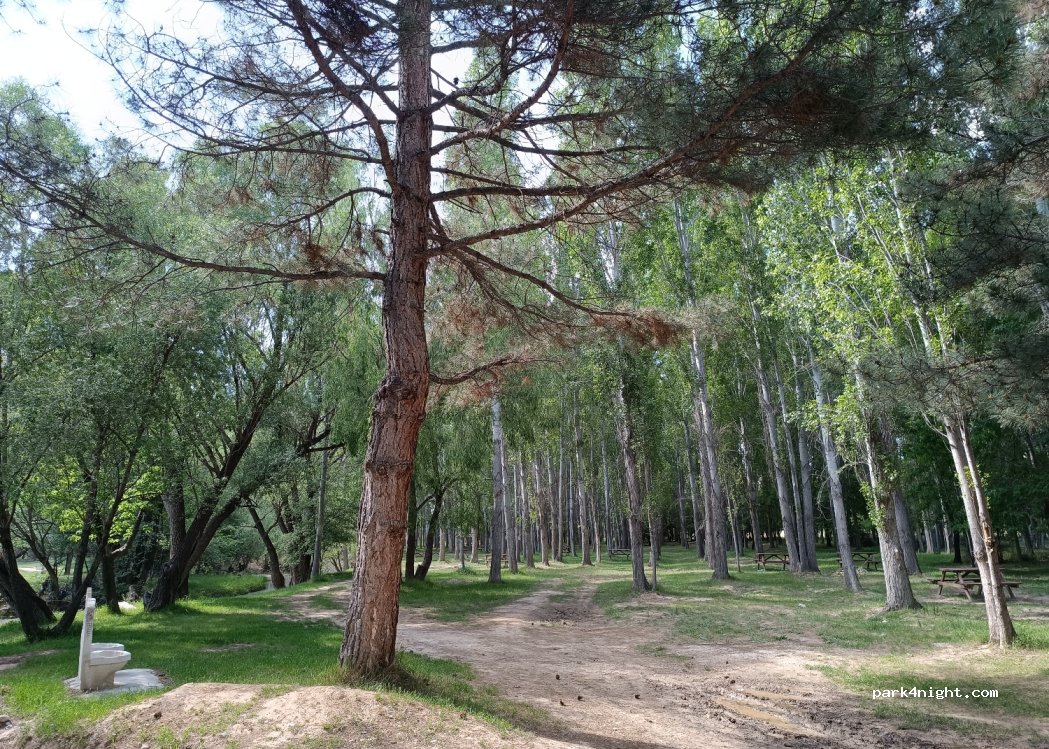 (70502) Ayrancı - Unnamed Road — foto 2