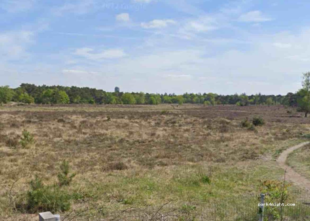 (1406 NC) Bussum - 77a Nieuwe 's-Gravelandseweg — foto