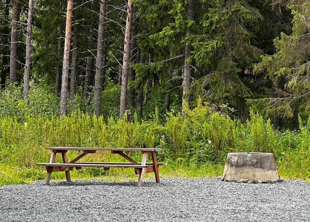 Dream Camp — foto 5