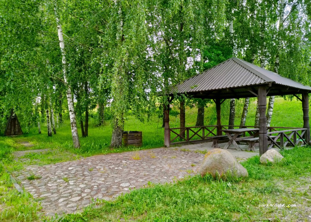 (41244) Kučgalys - 3616 — foto
