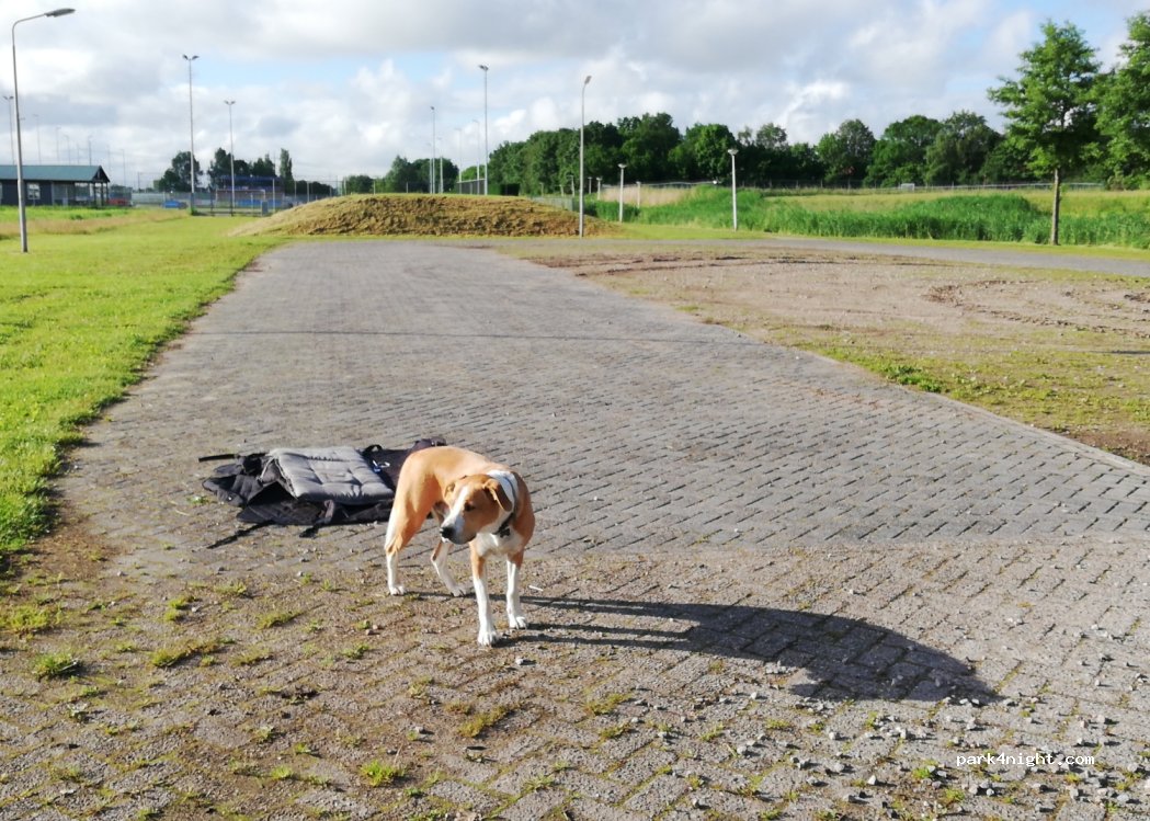 (2064 KN) Spaarndam - 6 Inlaagpolder — foto