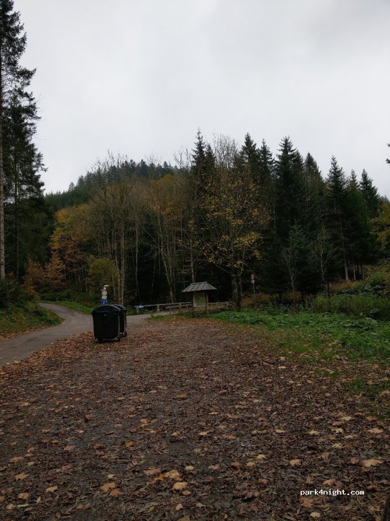 (78120) Furtwangen im Schwarzwald - 27 Hauptstraße — foto 3