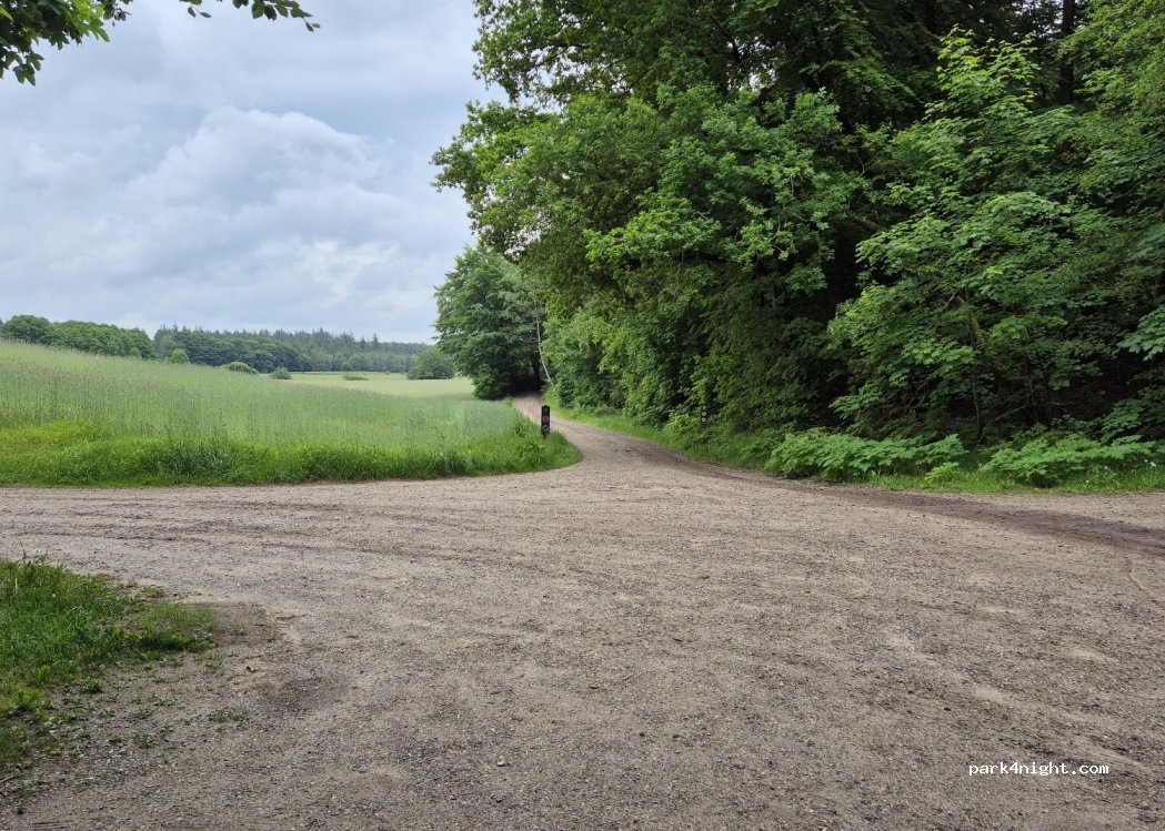 (9520) Skørping - Rebild Skovhusevej — foto