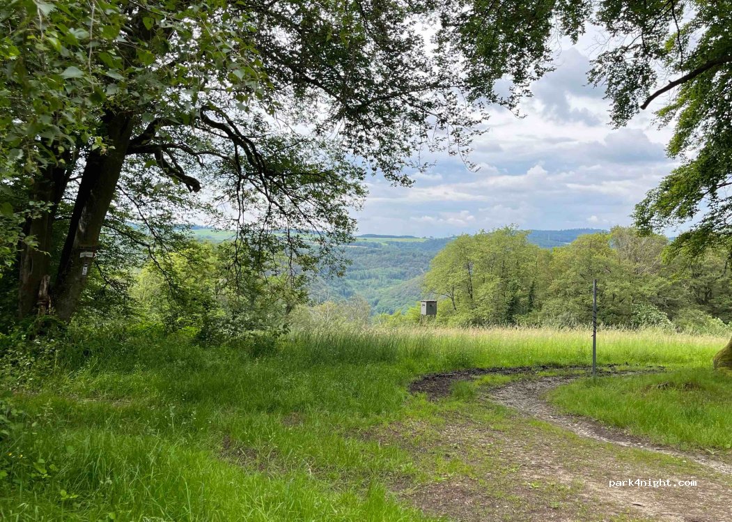 (56370) Bremberg - Unnamed Road — foto