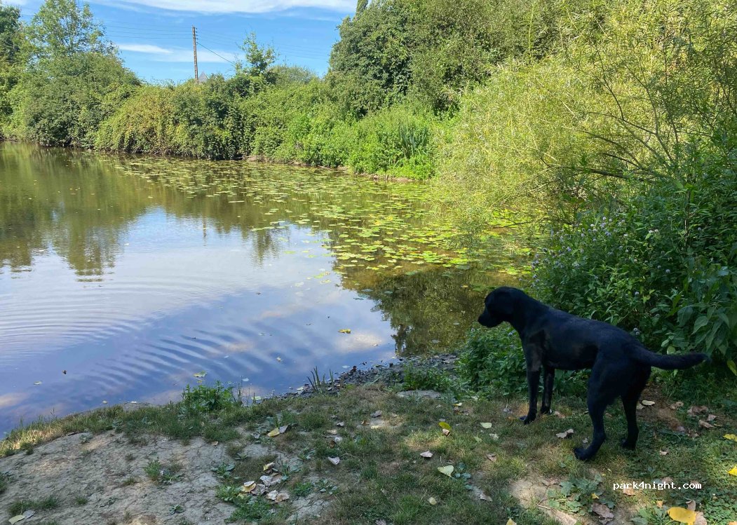 (35530) Servon-sur-Vilaine - 42 Moulin du Gué — foto 3