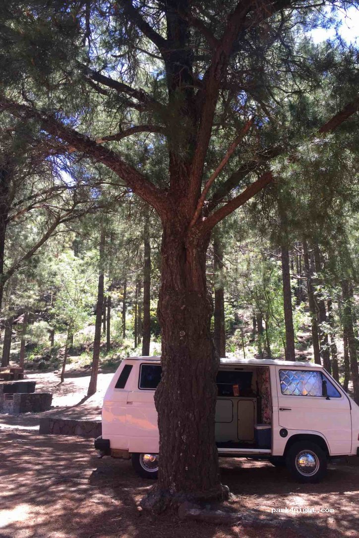 Llanos de La Pez — foto 2