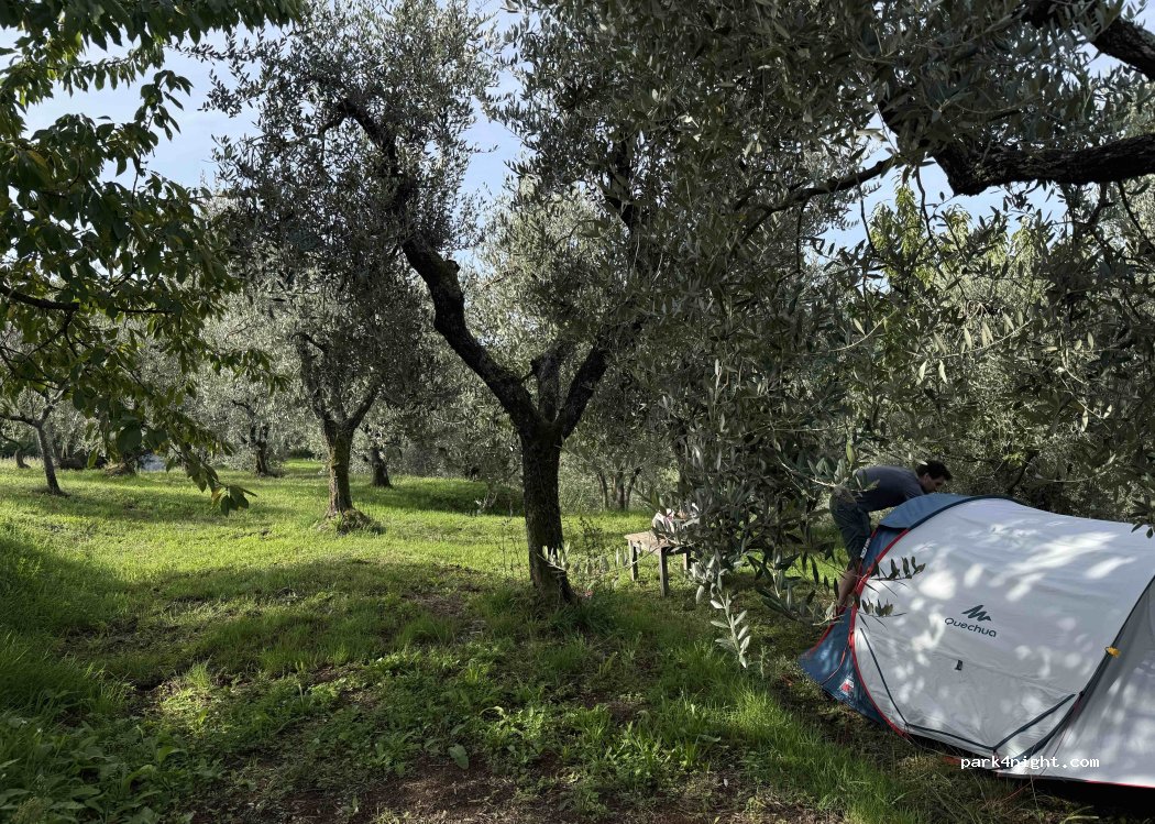 (51016) Marliana - Via Sovvigno — foto 2