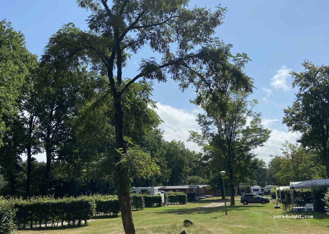 Veluwe Camping 't Schinkel — foto 3