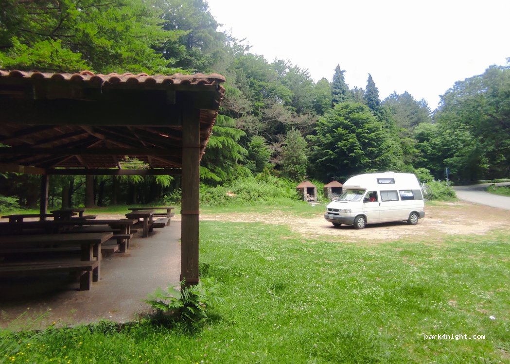 (89022) Cittanova - SP1 — foto