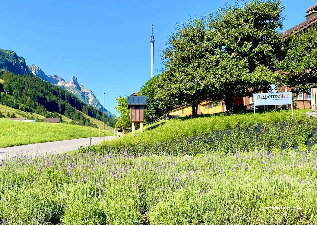 (9057) Schwende-Rüte - 34 Triebernstrasse — foto 4