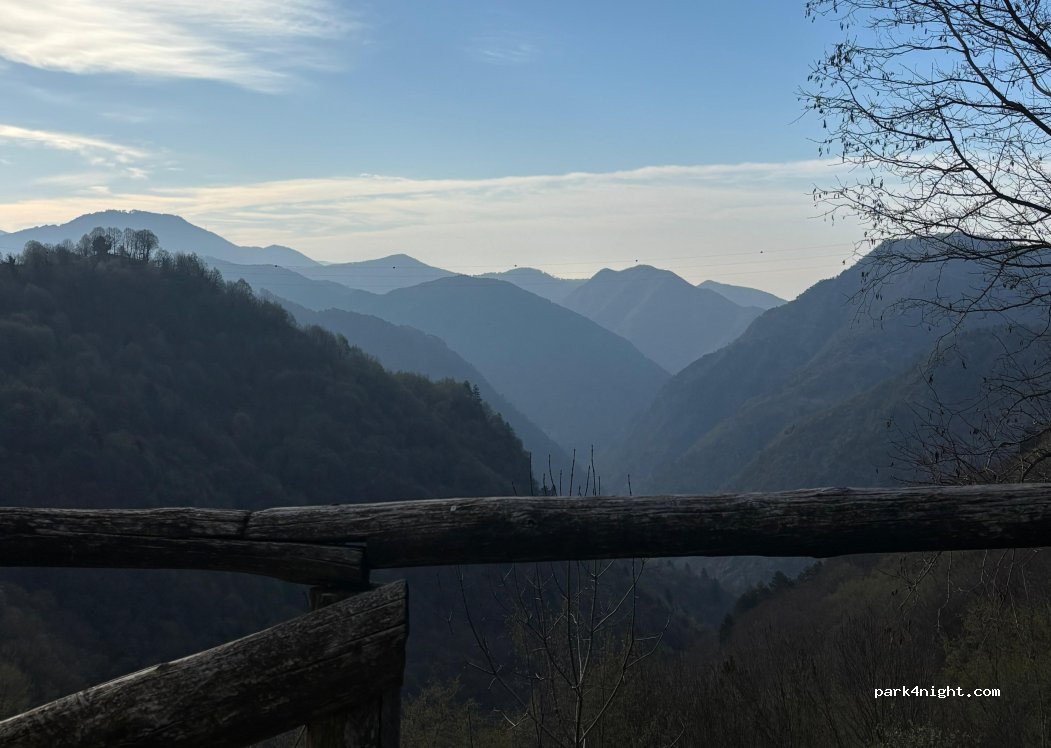 (25080) Moerna - SP113 — foto 4