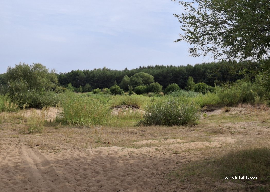 (26) Wyśmierzyce - — foto 4