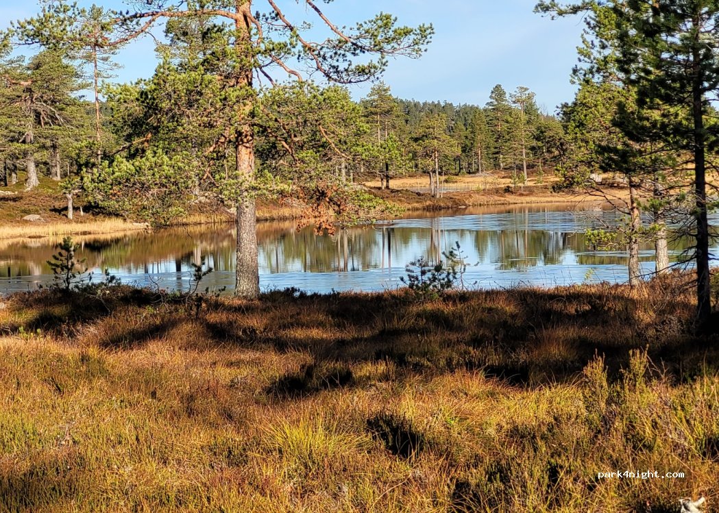 (3683) Notodden - 15 Breisetfjellvegen — foto