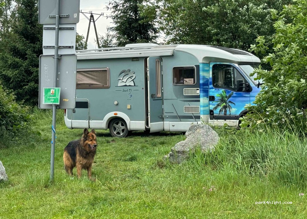 (58-262) Owiesno - Unnamed Road — foto 2