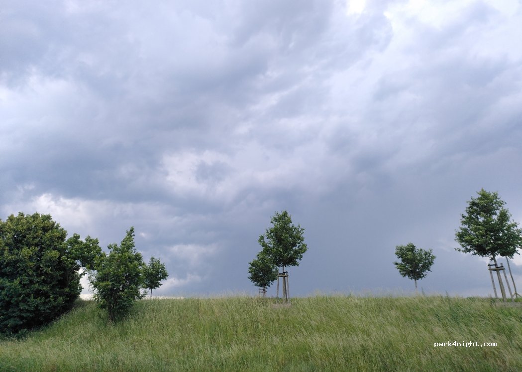(16303) Schwedt - Zum Teerofen — foto 2